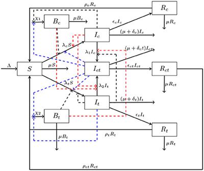 Mathematical analysis of cholera typhoid co-infection transmission dynamics